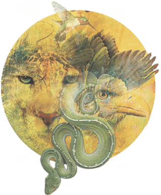 FW Logo-New-with-text